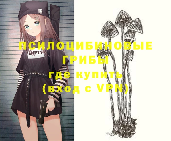 не бодяженный Волоколамск