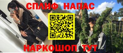 крисы Гусев